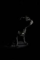 Maud et MARINE - Les bidons de lyon