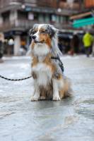 Ahmed BENAZZOUZ - AHMED BENAZZOUZ (AZURA)